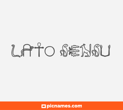 Lato Sensu